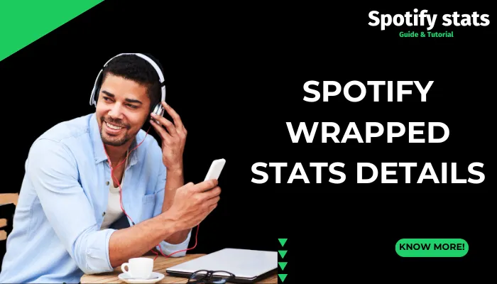 Spotify Wrapped Stats Details Spotify Wrapped Stats Details